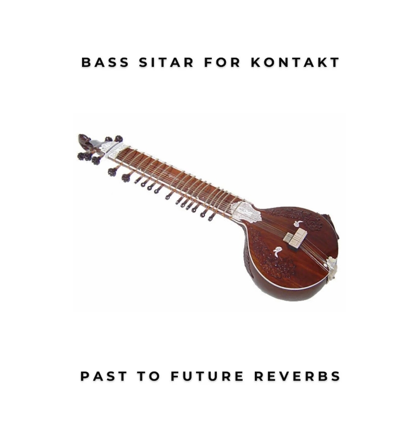 PastToFutureReverbs Electric Bass Sitar !