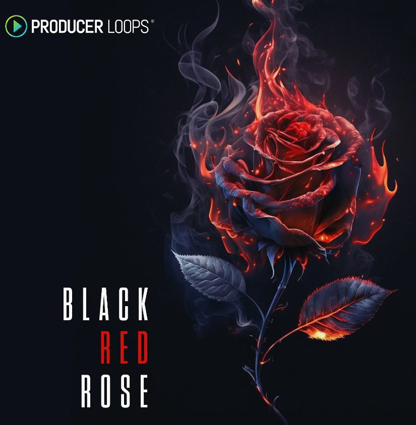 Producer Loops Black Red Rose