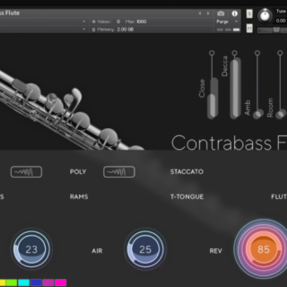 Auddict Daniela Mars Contrabass Flute KONTAKT