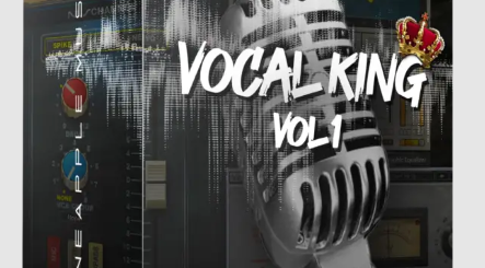 Mundo Pineapple Vocal King VOL.1