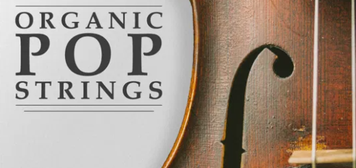 DM Samples Organic Pop Strings