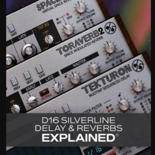 Groove3 D16 Silverline Delays and Reverbs Explained