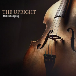 Musical Sampling The Upright KONTAKT