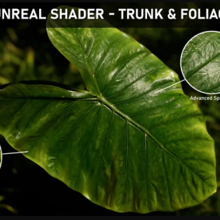 ArtStation – Unreal Shader: Trunk & Foliage