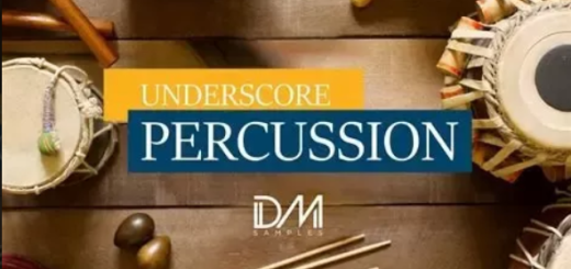 Dm Samples Underscore Percussion