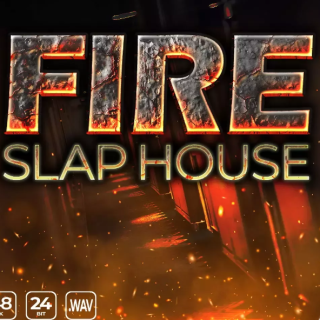 Epic Stock Media Fire Slap House