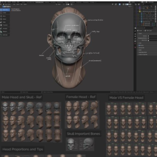 Master Sculpting Heads – 3D Blender Course – New Update! (V1.4)