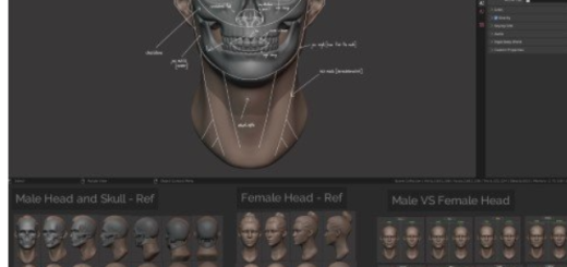 Master Sculpting Heads – 3D Blender Course – New Update! (V1.4)