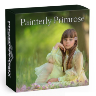 Painterly Primrose by Shannon Squires