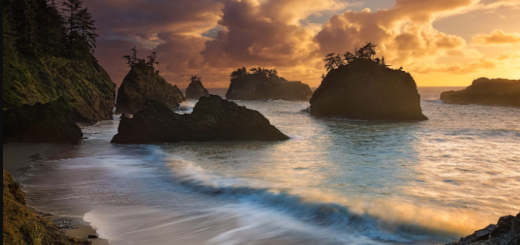 Sean Bagshaw – Secret Beach – Complete Workflow