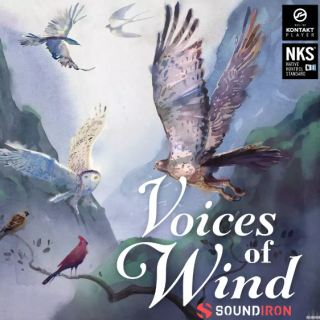 Soundiron Voices of Wind Collection KONTAKT