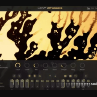 Native Instruments Leap Afrobeats v1.0.0 KONTAKT