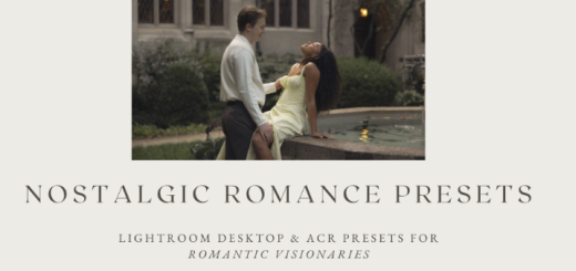 Anissa D – Nostalgic Romance Presets