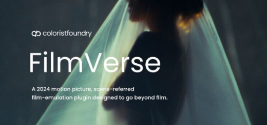 Colorist Foundry – Filmverse