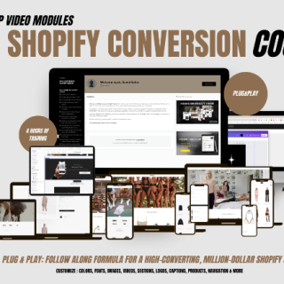 David Kollar – Max Conversion Shopify Course