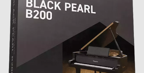 IK Multimedia Pianoverse Black Pearl B200