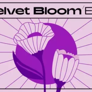 Native Instruments Velvet Bloom Maschine Expansion