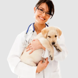 Pet Profits AI – Get Veterinarians and Pet Care Clients in 24 Hours or Less