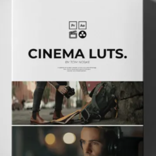 Tom Noske Cinematic LUTS