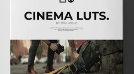 Tom Noske Cinematic LUTS