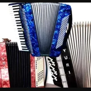 Udemy Accordion for complete beginners. BOOK 1 TUTORiAL