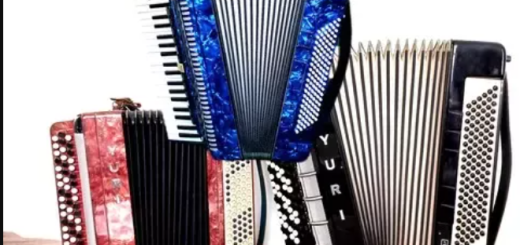 Udemy Accordion for complete beginners. BOOK 1 TUTORiAL