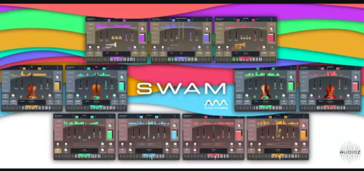 Audio Modeling SWAM Bundle 2024.11