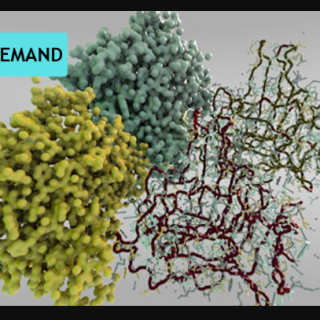 Houdini.School – HS-227 – Visualizing Protein Data Bank Information with Kate Xagoraris