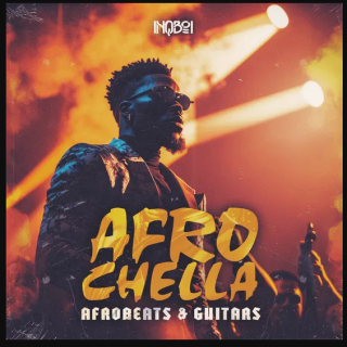 Inqboi Afrochella - Afrobeats and Guitars