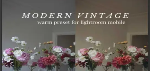 Modern Vintage – Warm Presets for Lightroom Mobile