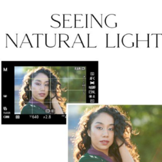 The Portrait Masters – Seeing Natural Light