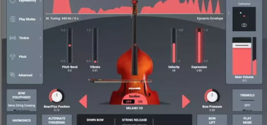 Audio Modeling SWAM Double Bass 3 v3.8.2