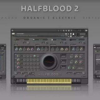 Insanity Samples HALFBLOOD 2 v1.5.0 KONTAKT