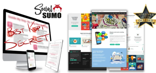 Local Social Sumo – The Ultra Rare Secrets to Managing Compaigns For Local Clients