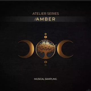 Musical Sampling Atelier Series Amber KONTAKT