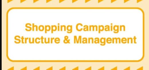 Take Some Risk – Shopping Campaign Structure and Management