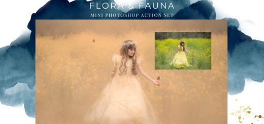 Finding North Education – Flora & Fauna Mini Photoshop Action Set + Editing