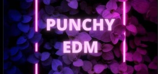 Infinity Audio Punchy EDM