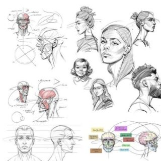 Proko – Josh Black – The Anatomy Survival Guide