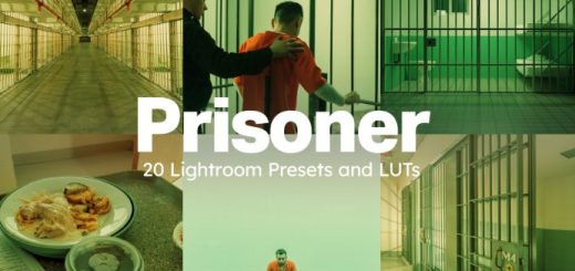 Artstation – 20 Prisoner LUTs & Lightroom Presets