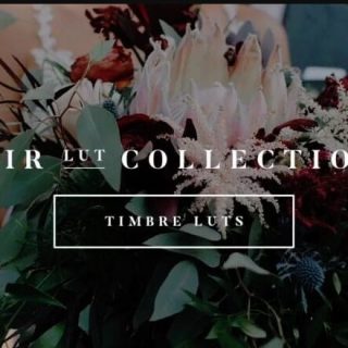 White In Revery – Timbre